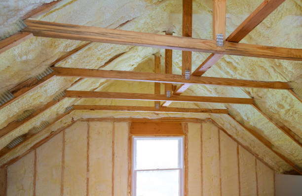 Best Insulation Maintenance and Repair in Rogersville, TN