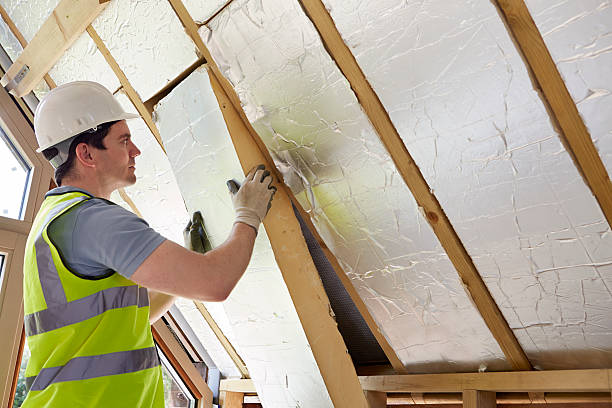 Best Insulation Maintenance and Repair in Rogersville, TN